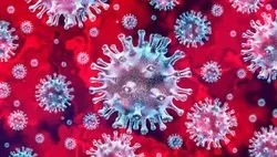 Illustration of the SARS-CoV-2 virus that causes COVID-19