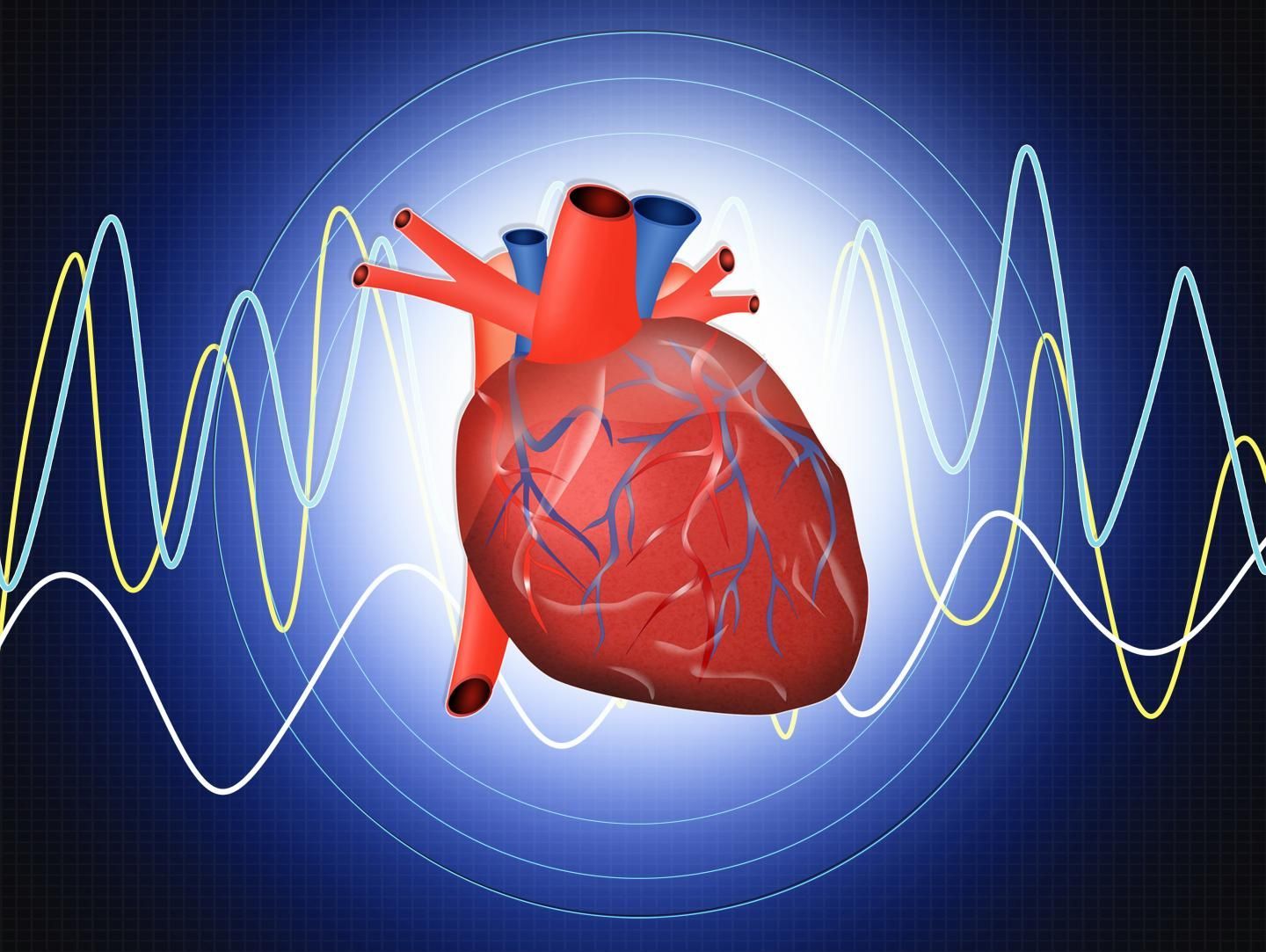 Illustration of an anatomical human heart with a heart beat wave pulse in the background