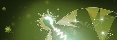 New SARS-CoV-2 map of host cell interactions