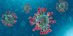 Illustration of the SARS-CoV-2 virus that causes COVID-19
