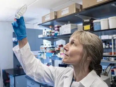 Corrie Detweiler in the lab at CU Boulder.