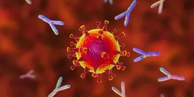 Illustration of coronavirus particle surrounded by antibodies