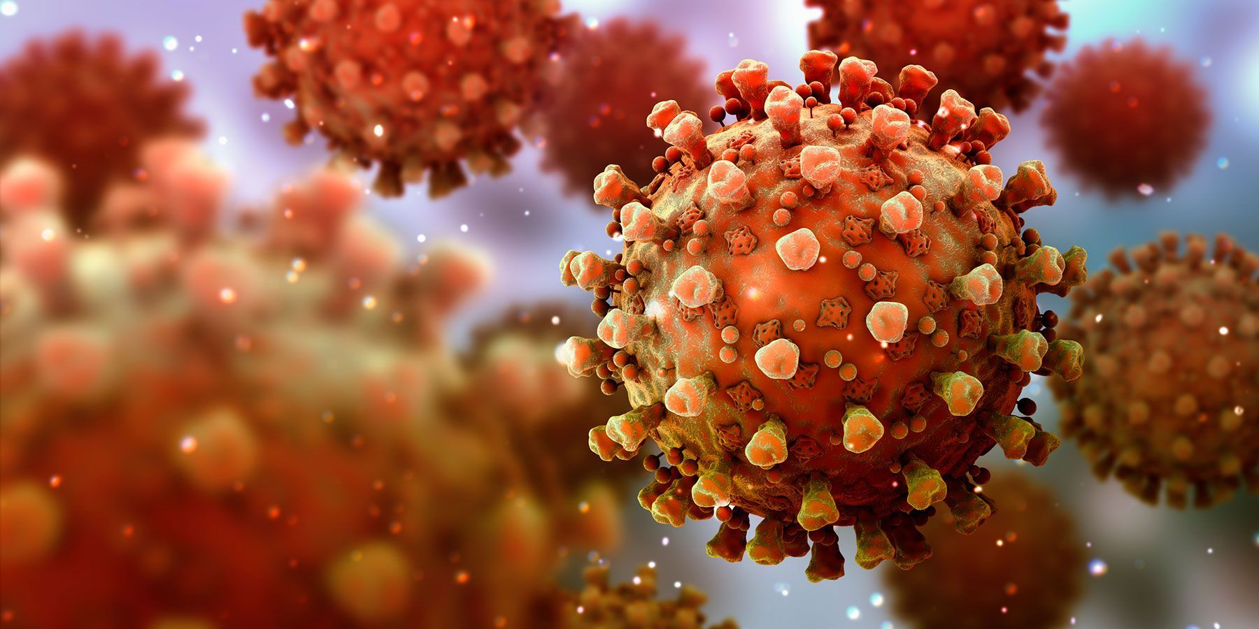 Illustration of coronavirus particles showing the spike protein on the virus's surface