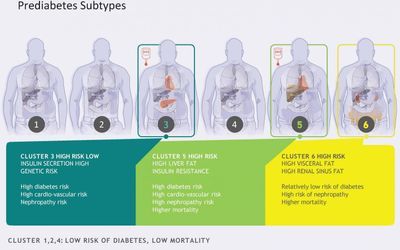 Diagram outlining the six subtypes of prediabetes