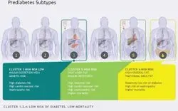 Diagram outlining the six subtypes of prediabetes