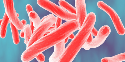 Image of individual Tuberculosis bacterium