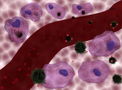 An artist's conception of the doxorubicin-loaded nanocomposite carriers being internalized by cells (at the top) and remaining outside cells (at the bottom), with a blood vessel at the centre.