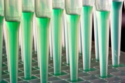 Strategies to Enhance the Quality of Automated Drug Screening Systems Strategies to Enhance the Quality of Automated Drug Screening Systems