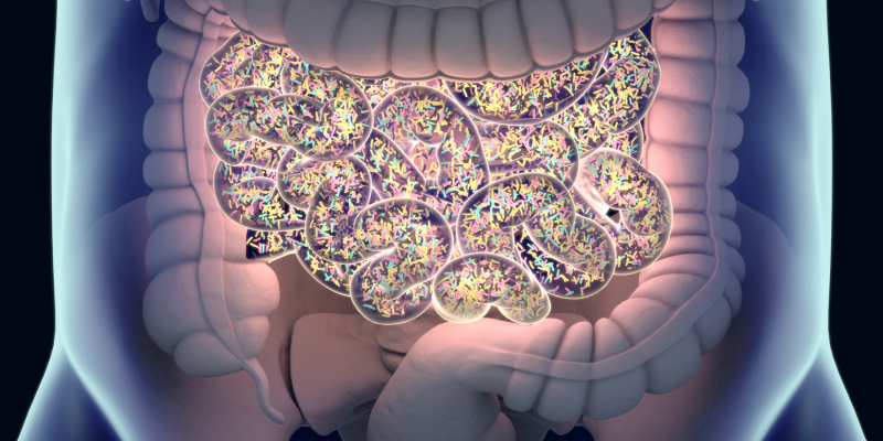 Illustration of the trillions of gut bacteria that make up the human microbiome