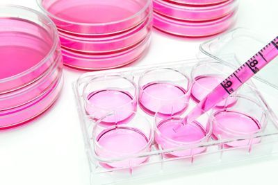 How Precision-Controlled Environments Support Clinical Cell Culture