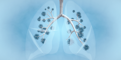 Illustration of human lungs