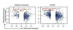 Scatter plots show the correlation between differential expression and differential methylation calculated by the traditional and CHALM methods.