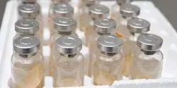 A cold storage container with full of glass vaccine vials