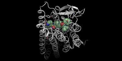 Molecular interactions of the receptor blocker JNJ-31020028