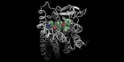 Molecular interactions of the receptor blocker JNJ-31020028