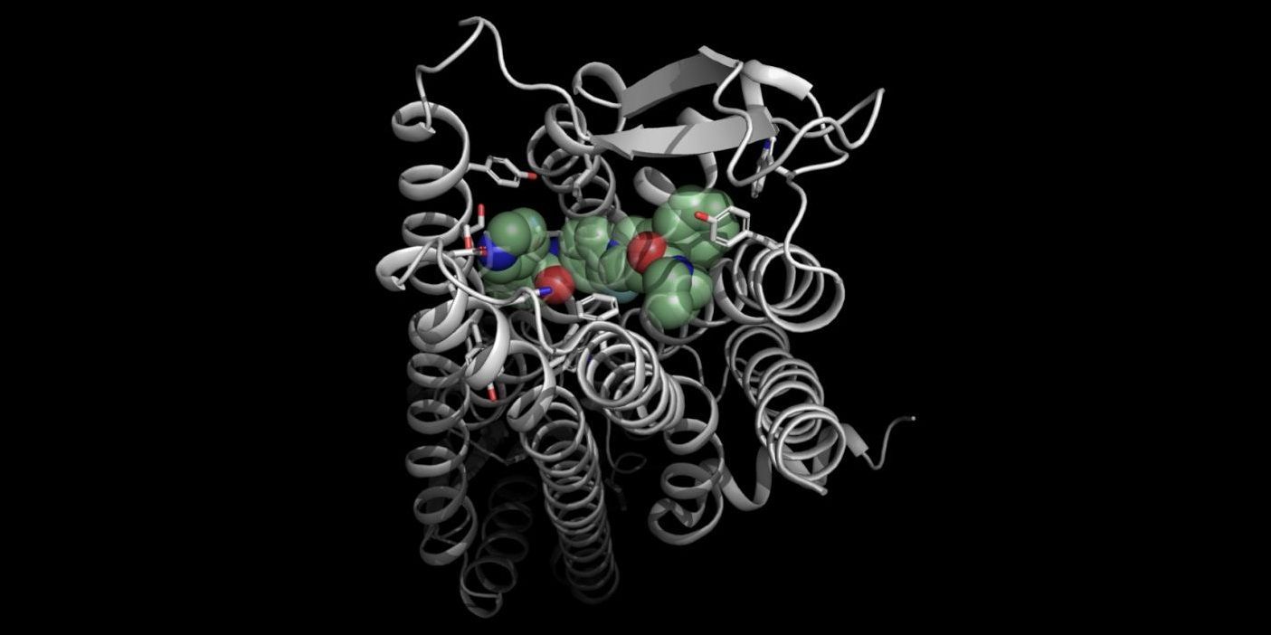 Molecular interactions of the receptor blocker JNJ-31020028 Molecular interactions of the receptor blocker JNJ-31020028