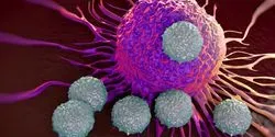 Illustration of cancer cells