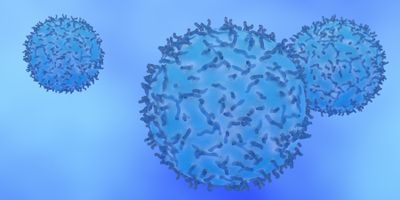 Illustration of non-small cell lung cancer cells