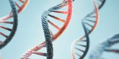 Illustration of DNA double helix
