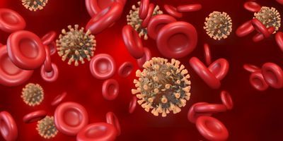 Illustration of sars-cov-2 virus surrounded by red blood cells 