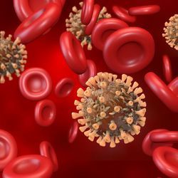 Illustration of sars-cov-2 virus surrounded by red blood cells 