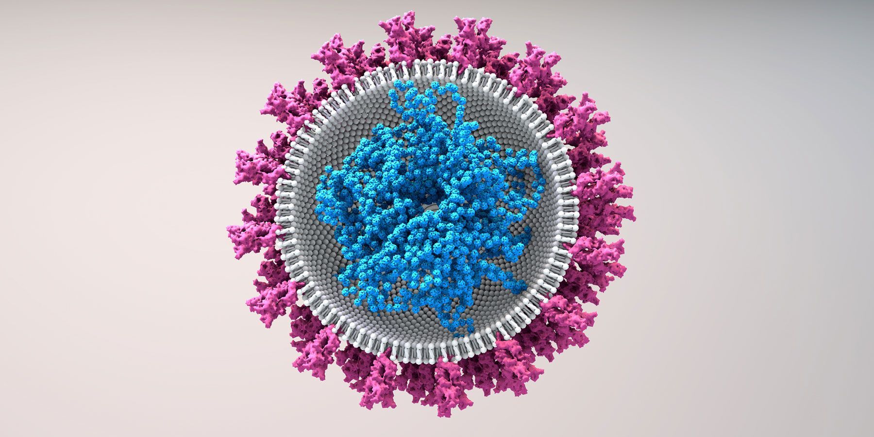 Illustration of sars-cov-2, which causes covid-19