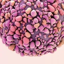 Breast Cancer Cell
