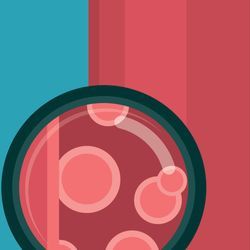 Spotlight on Standardization Programs for Blood Cholesterol Testing Spotlight on Standardization Programs for Blood Cholesterol Testing
