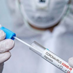 IVDR—The Impact of COVID-19 IVDR—The Impact of COVID-19