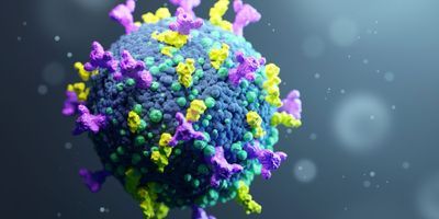 illustration of coronavirus with spike proteins on the surface