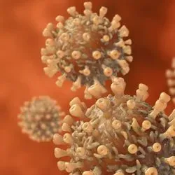 Illustration of a coronavirus particles with spike proteins sticking out from the surface
