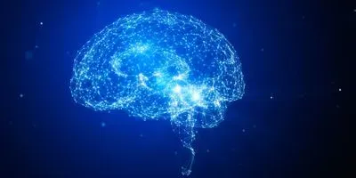Illustration of brain connections in a human brain