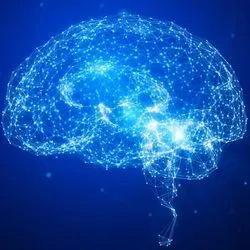 Illustration of brain connections in a human brain