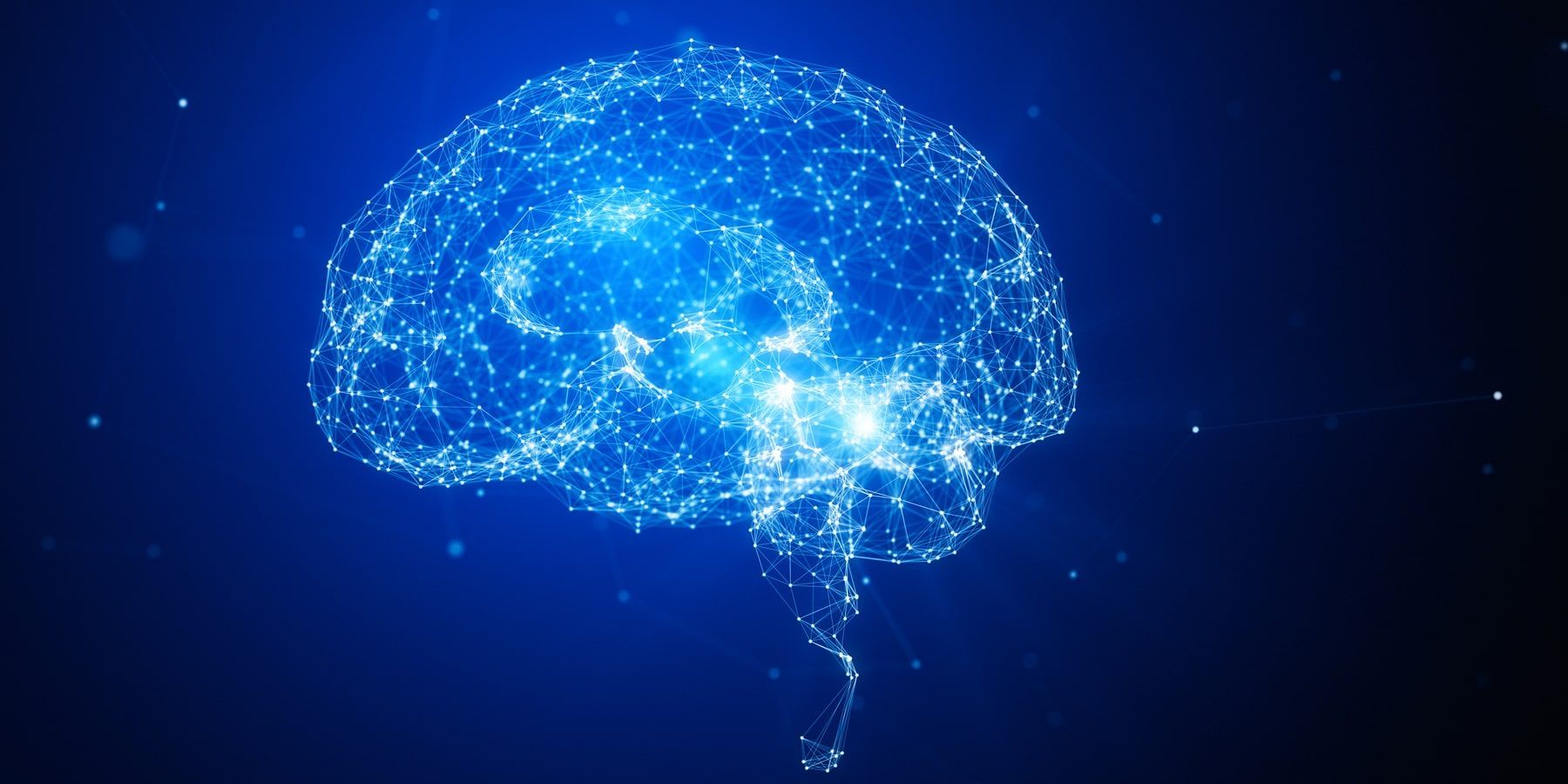 Illustration of brain connections in a human brain