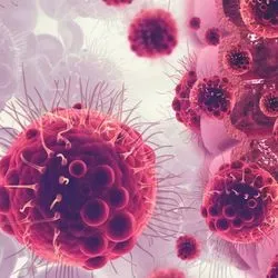 Illustration of the gut microbiome and effect on cancer