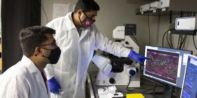 Doctoral student Tanmay Mathur (left) and Dr. Abhishek Jain review photos of blood cells formed on the organ-on-a chip in their lab.
