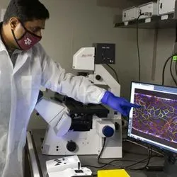 Doctoral student Tanmay Mathur (left) and Dr. Abhishek Jain review photos of blood cells formed on the organ-on-a chip in their lab.