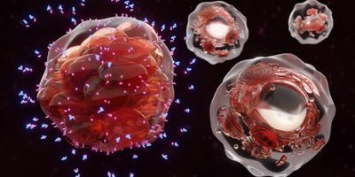 Illustration of a round cancer cell secreting small proteins 