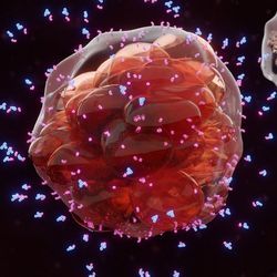 Identifying New Cell Types Accelerates Cancer Immunology