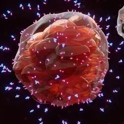 Illustration of a round cancer cell secreting small proteins 