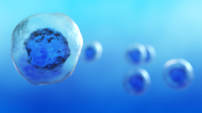 Functional Immune Landscaping in Cancer Research and Beyond