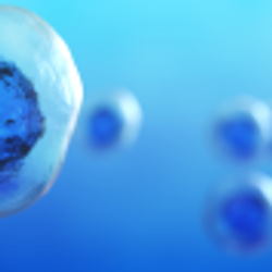 Functional Immune Landscaping in Cancer Research and Beyond Functional Immune Landscaping in Cancer Research and Beyond