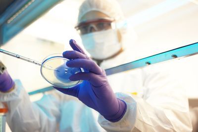 Photo of a lab professional wearing PPE and gloves and handling a pipette and cell culture dish in a BSC