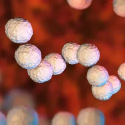 Illustration of the MRSA bacteria floating in the blood