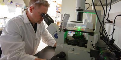 Photo of Scripps Research immunologist Mark Sundrud, PhD, wearing a white lab coat and looking into a microscope