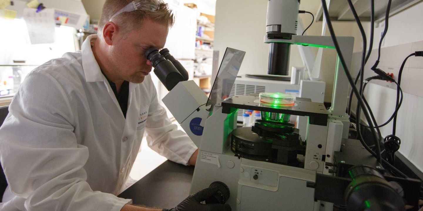 Photo of Scripps Research immunologist Mark Sundrud, PhD, wearing a white lab coat and looking into a microscope
