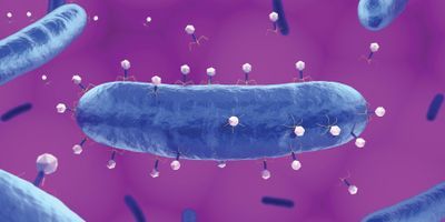 Photo a long oval bacteria with small bacteriophages on its surface