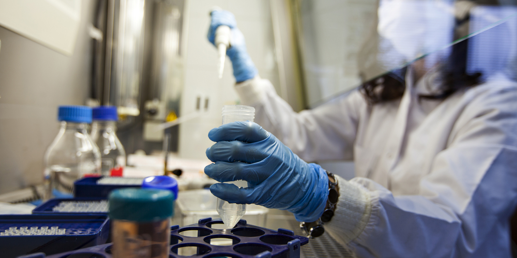 Photo of a clinical lab professional wearing PPE sitting at a biological safety cabinet pipetting COVID-19 dust samples