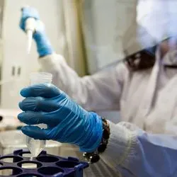 Photo of a clinical lab professional wearing PPE sitting at a biological safety cabinet pipetting COVID-19 dust samples