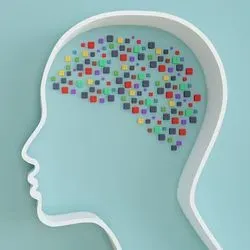 Illustration of a profile-view outline of the human head and face, with little colorful circles drawn inside the brain